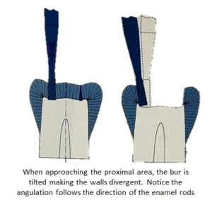 Remaining Marginal Ridge (Mesiodistal Extension) - International ...